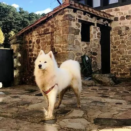 Casa Rural Pico Urbion Y Laguna De Urbion - El Quintanarejo-Vinuesa * ビヌエサ