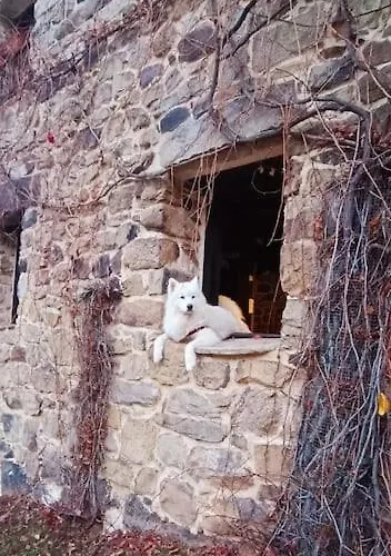Casa Con Encanto Lagunanegra Y Urbion