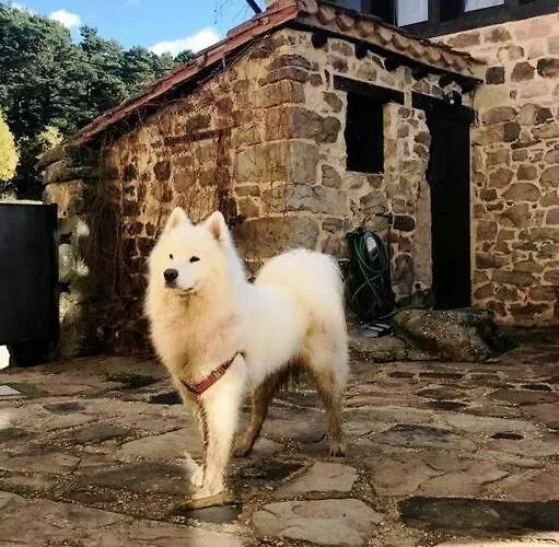 Casa Con Encanto Lagunanegra Y Urbion * Vinuesa